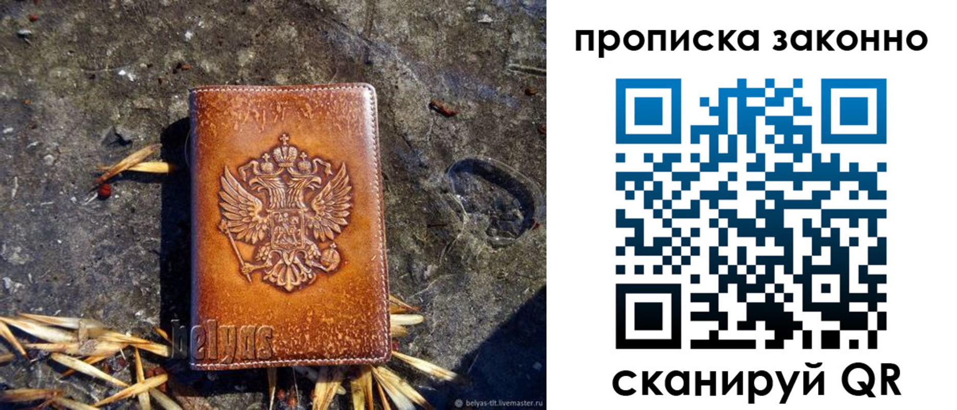 прописка паспорт в Дубне